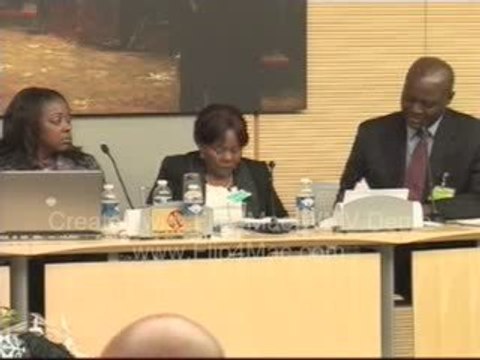 L'UNION AFRICAINE ET LE PROCESSUS D'INTEGRATION REGIONALE 2