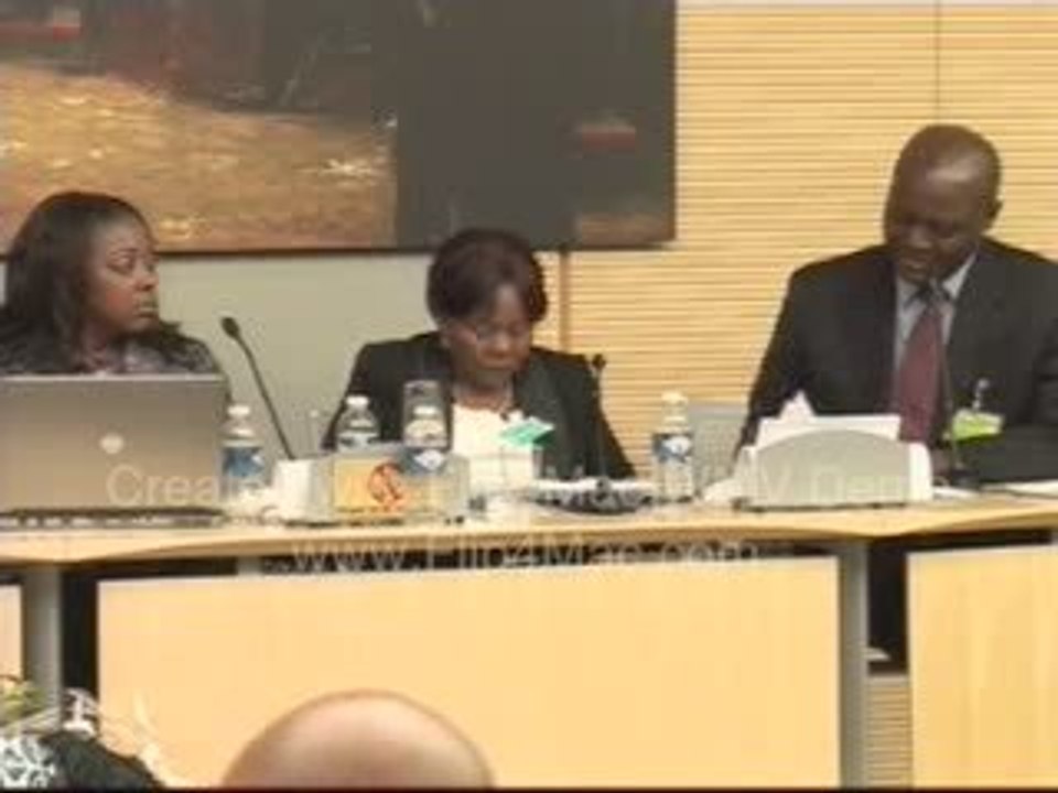 L'UNION AFRICAINE ET LE PROCESSUS D'INTEGRATION REGIONALE 2