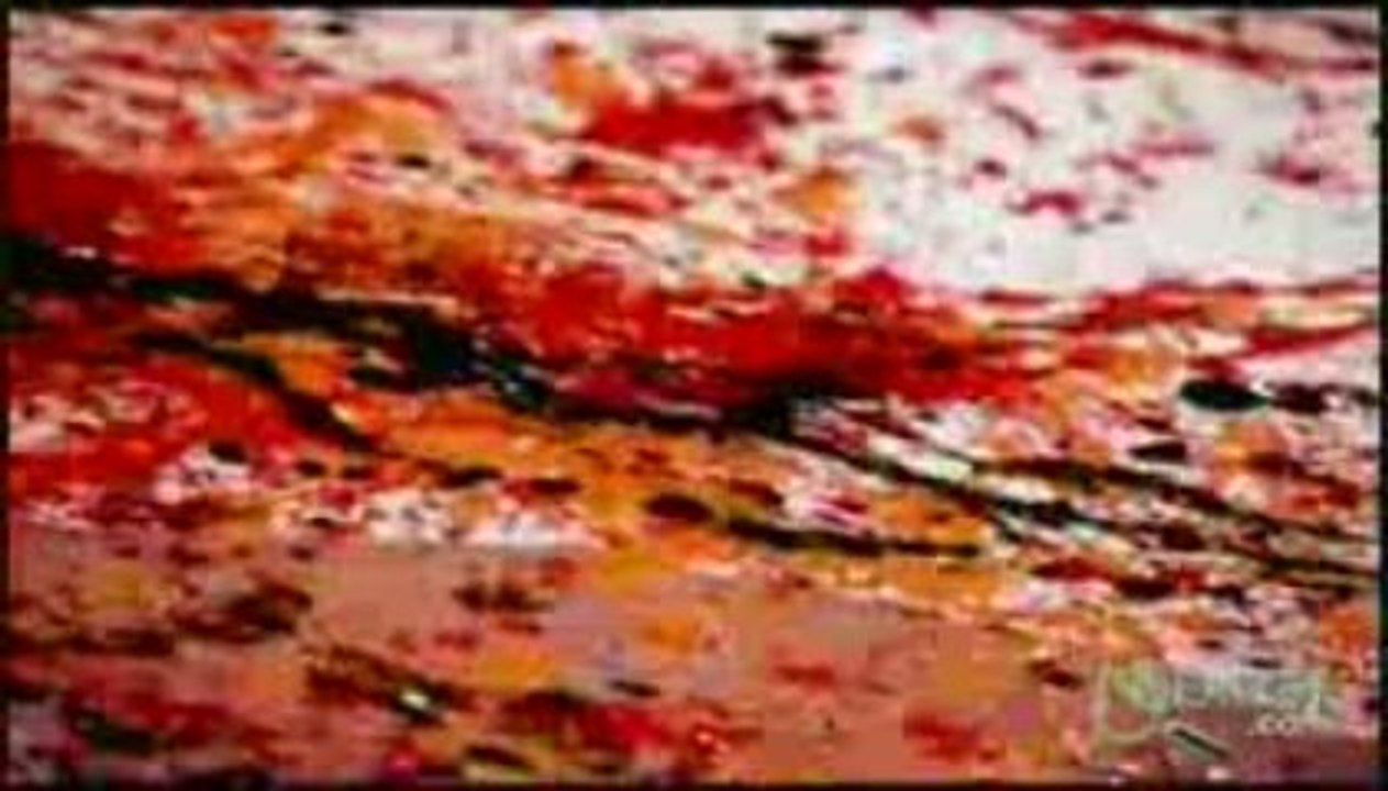 Adidas Shoes - Jeremy Wariner Ad