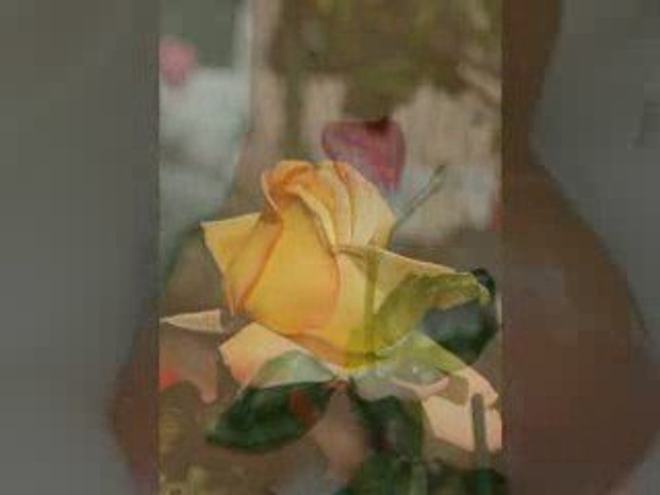 pour vous