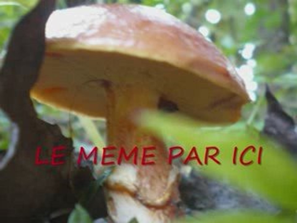 MARCHE AU BAERENKOPF