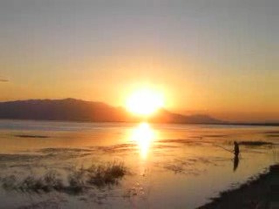 suğlada balık avı