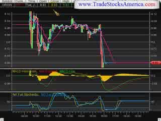 stock market trading newsletter