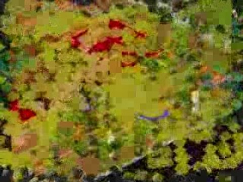 lefocheurdame sram 172 dofus