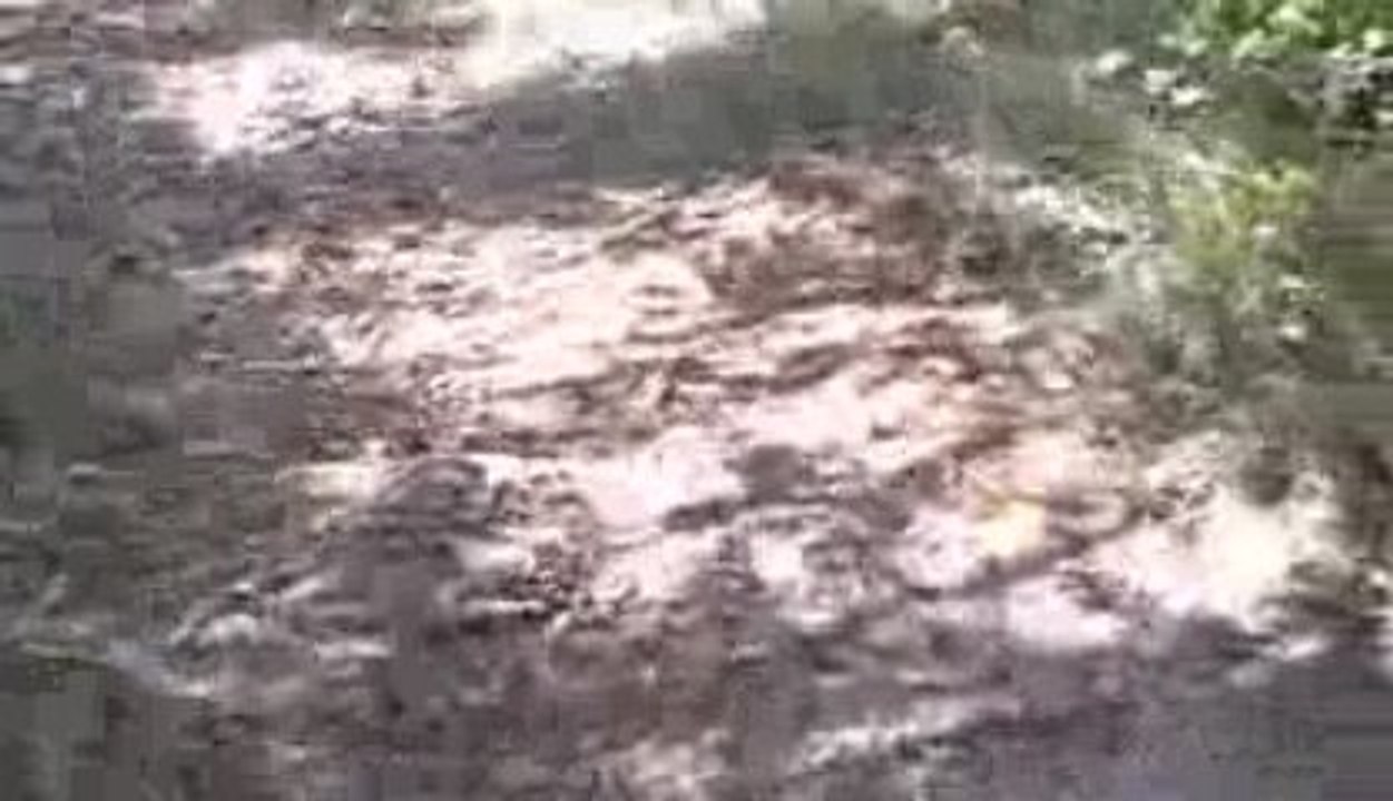 debourrage diane et ercule