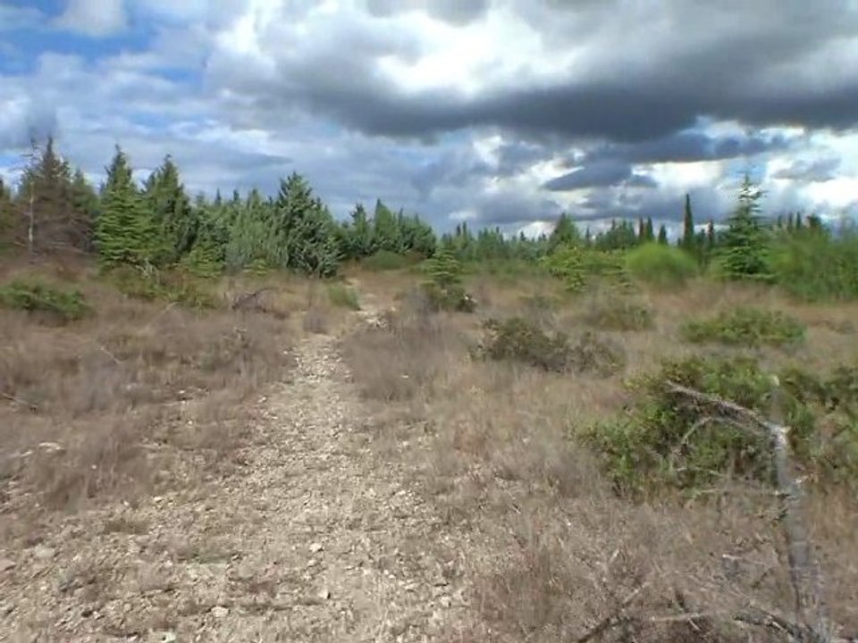 GlideCam 2000 Pro test en [HD]