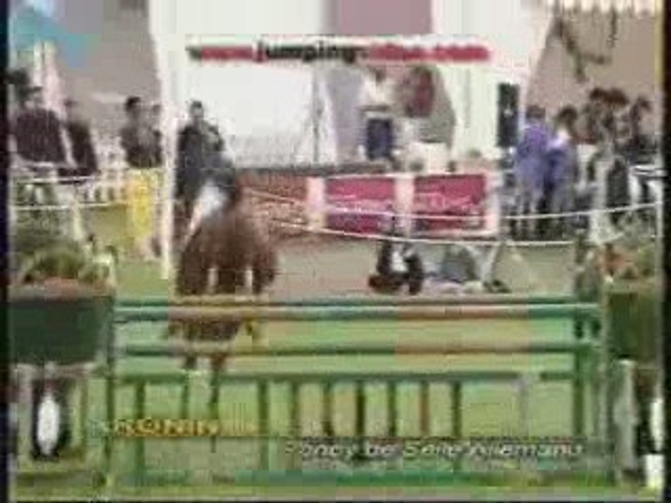 Poney de selle allemand