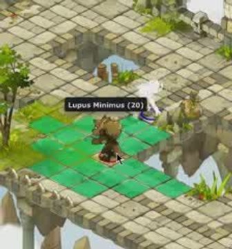 Dofus 2.0 Combat Haineko Incarnam
