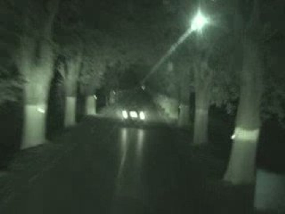 Algérie, tunnel d'eucalyptus Night Shot