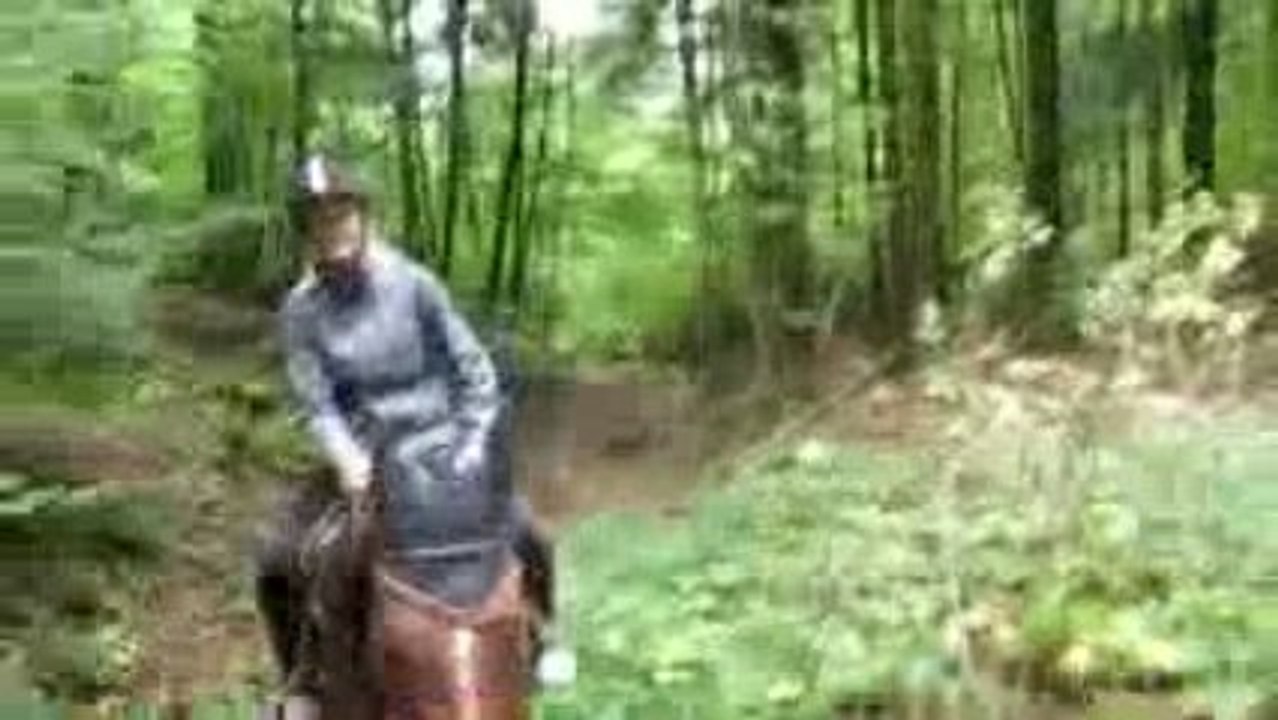 balade montée dans la forêt