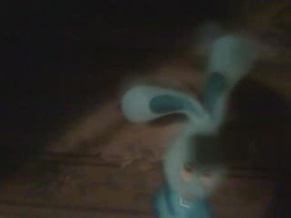 the blaireau witch project