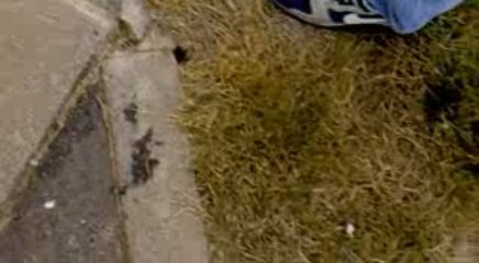 DIUK Z 750 / ZIZO FZ6