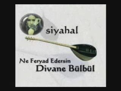 Siyahal Ne Feryad Edersin Divane Bülbül