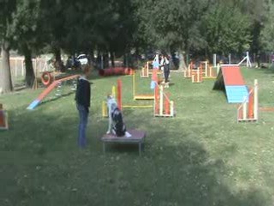 Dakota et moi en agility (débutant)