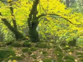 Agate - 1/15 Histoires Courtes Autre Horizon  de MATYNIA J-Y