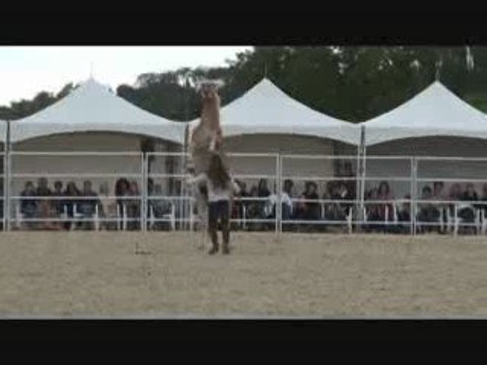 Pauline et Naiade 2009