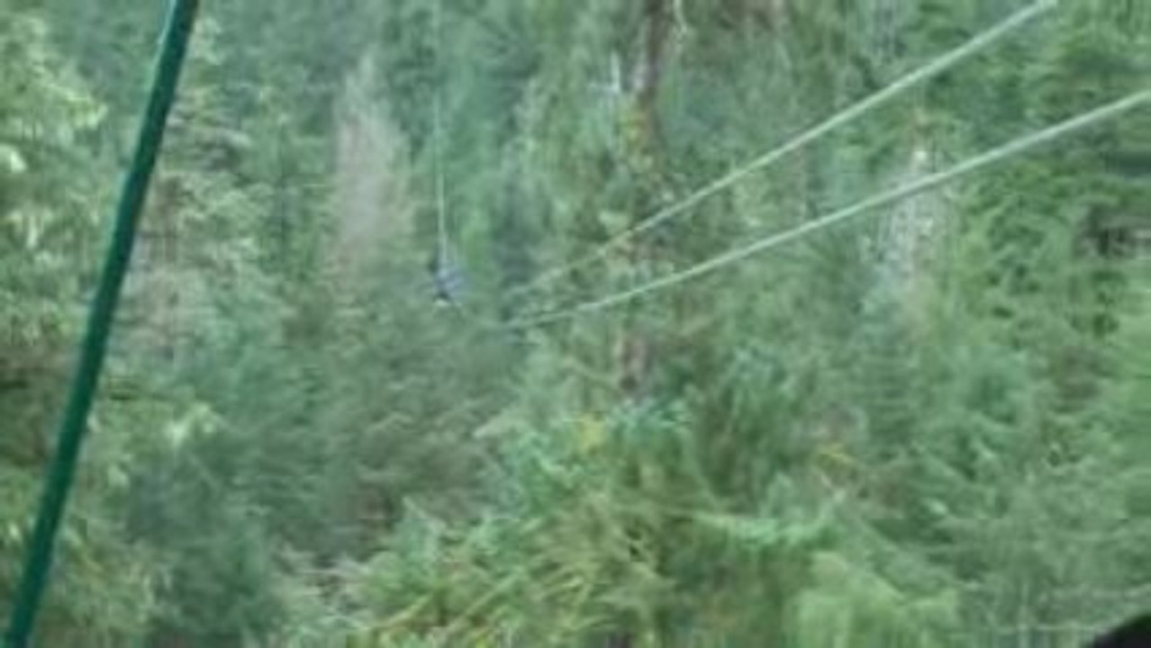 Scentsy Alaskan Cruise - Zip Line