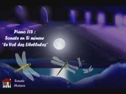 Sonate en Si mineur le Vol des Libellules (piano118)