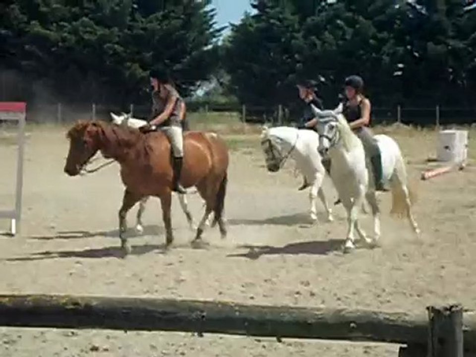chute