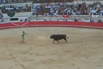 Padilla face à un toro de Françoise Yonnet