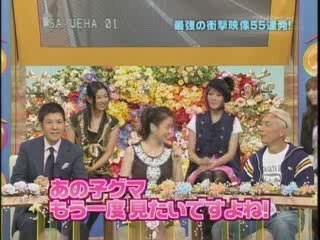 Korean TV - Bear Cub being scared on tv!