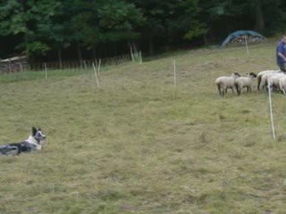 diuk dans les vossges