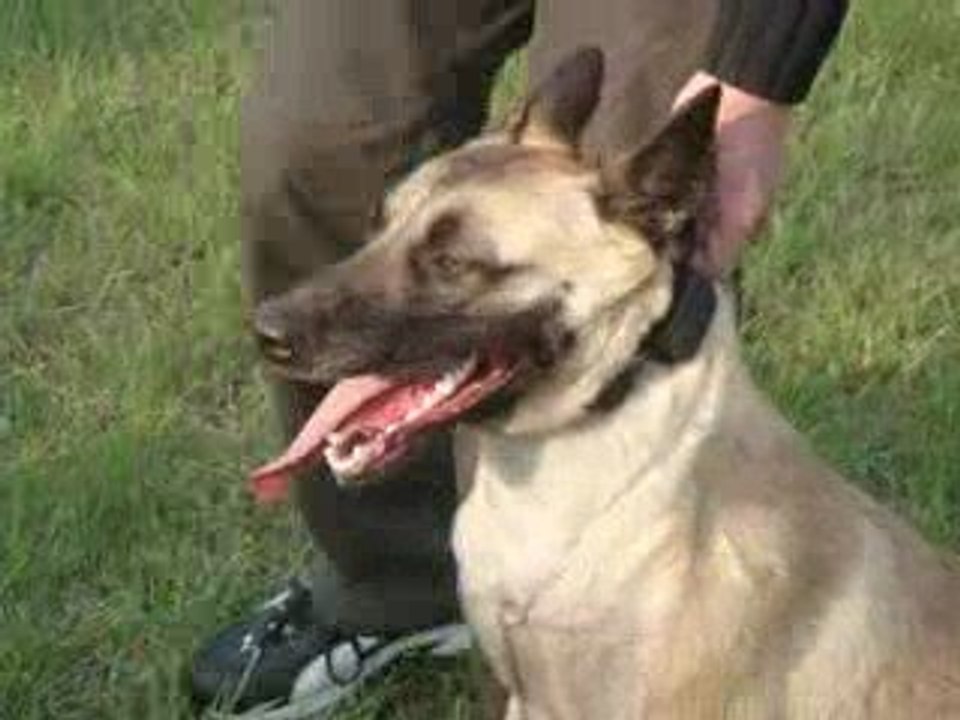 caya entrainement le 29.09.09