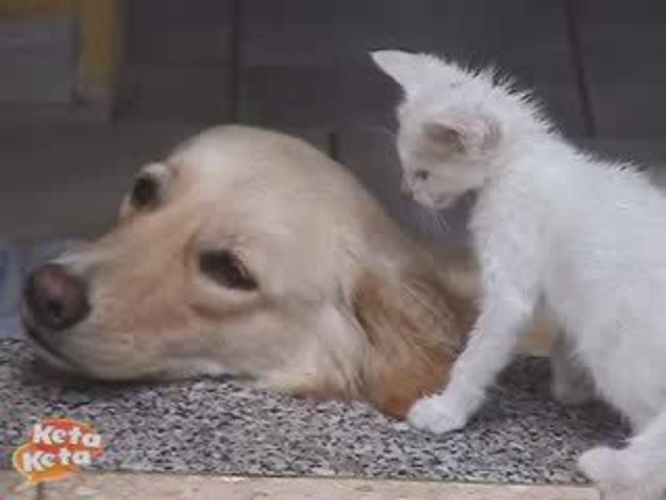 Lechaton