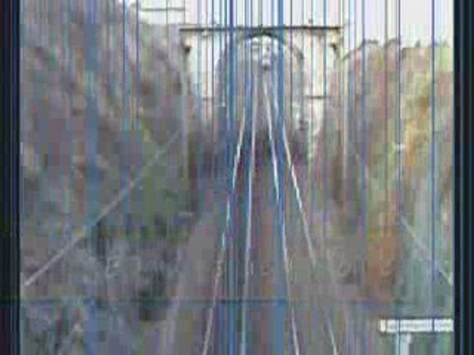 ter tgv