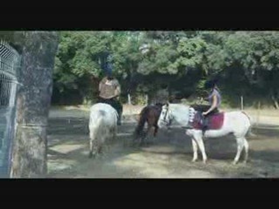 Reprise du 26 septembre 2009