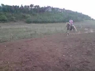 Djebel saut 1m