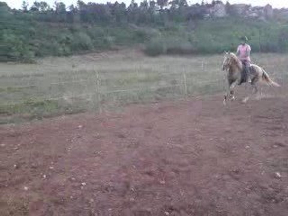 Djebel saute 1m