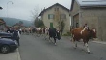 13e fête du vacherin Mont d'Or de la Vallée de Joux