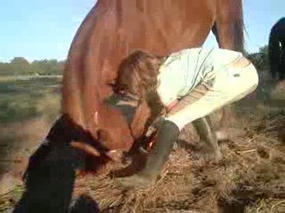 Odysée Révérance 3