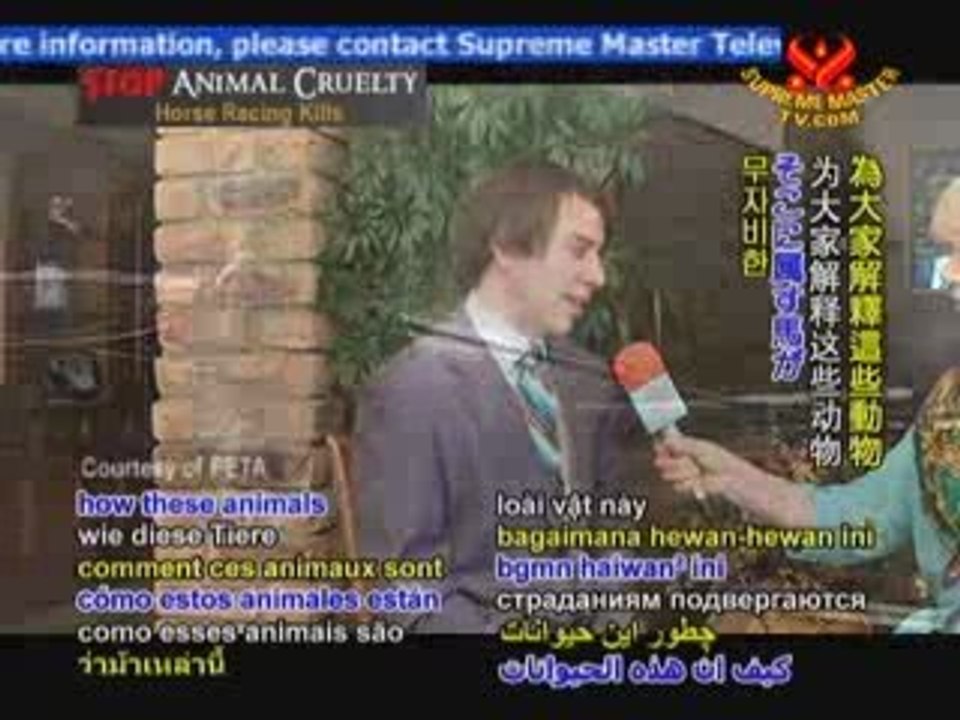 STOP ANIMAL CRUELTY Horse Racing Kills