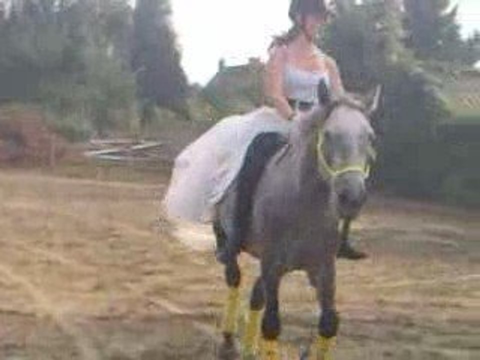 Spectacle fête du cheval