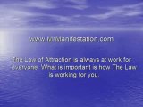 Mr. Manifestation - Mastering The Law Of Attraction