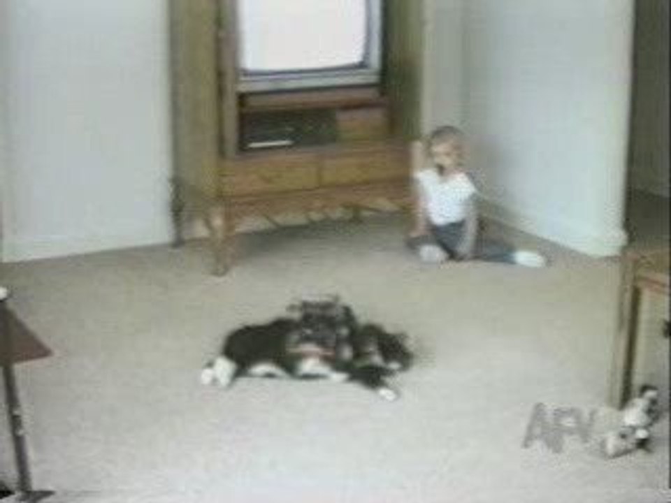 videos_enfants_animaux