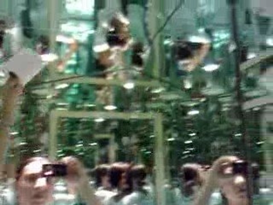 Toilettes schizophrènes