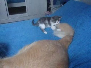 belly et bounty (septembre 09)