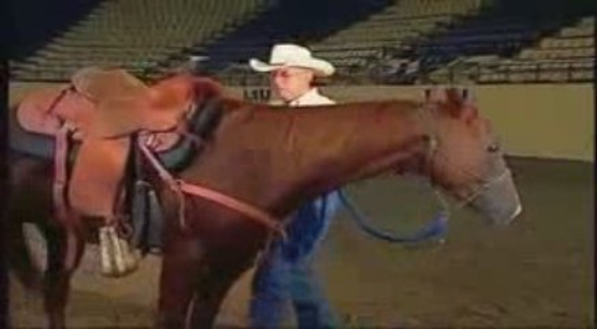 Horse Training How To Beery Style