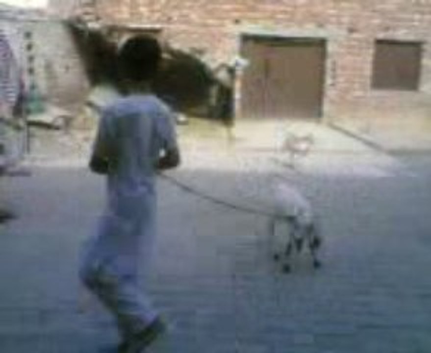 child play