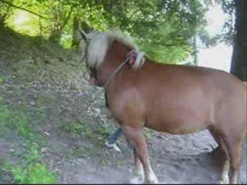 Priska qui fait son rodéo !