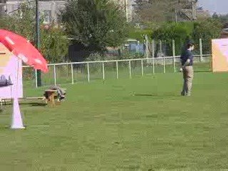 Exercice absence du maître  Ron est aux alouettes...