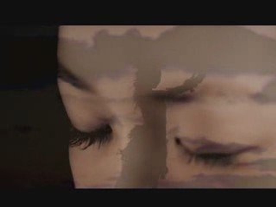 Fate -stay night- OP disillusion PV