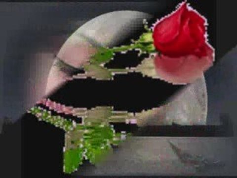 Siir Serserim Güzelim