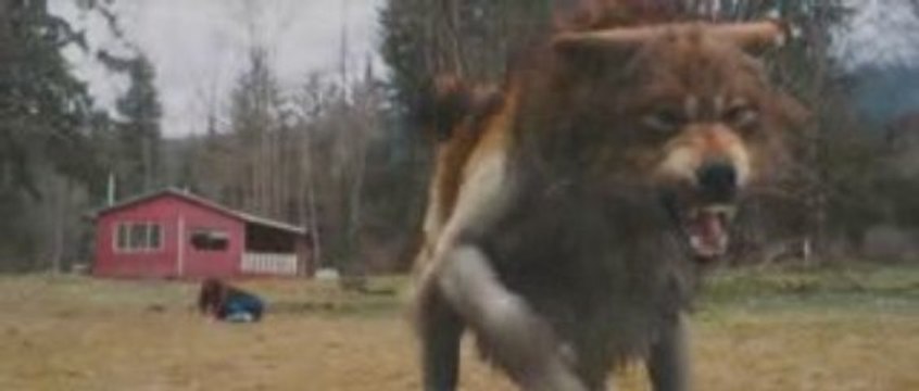 Twilight - Chapitre 2 : tentation bande annonce