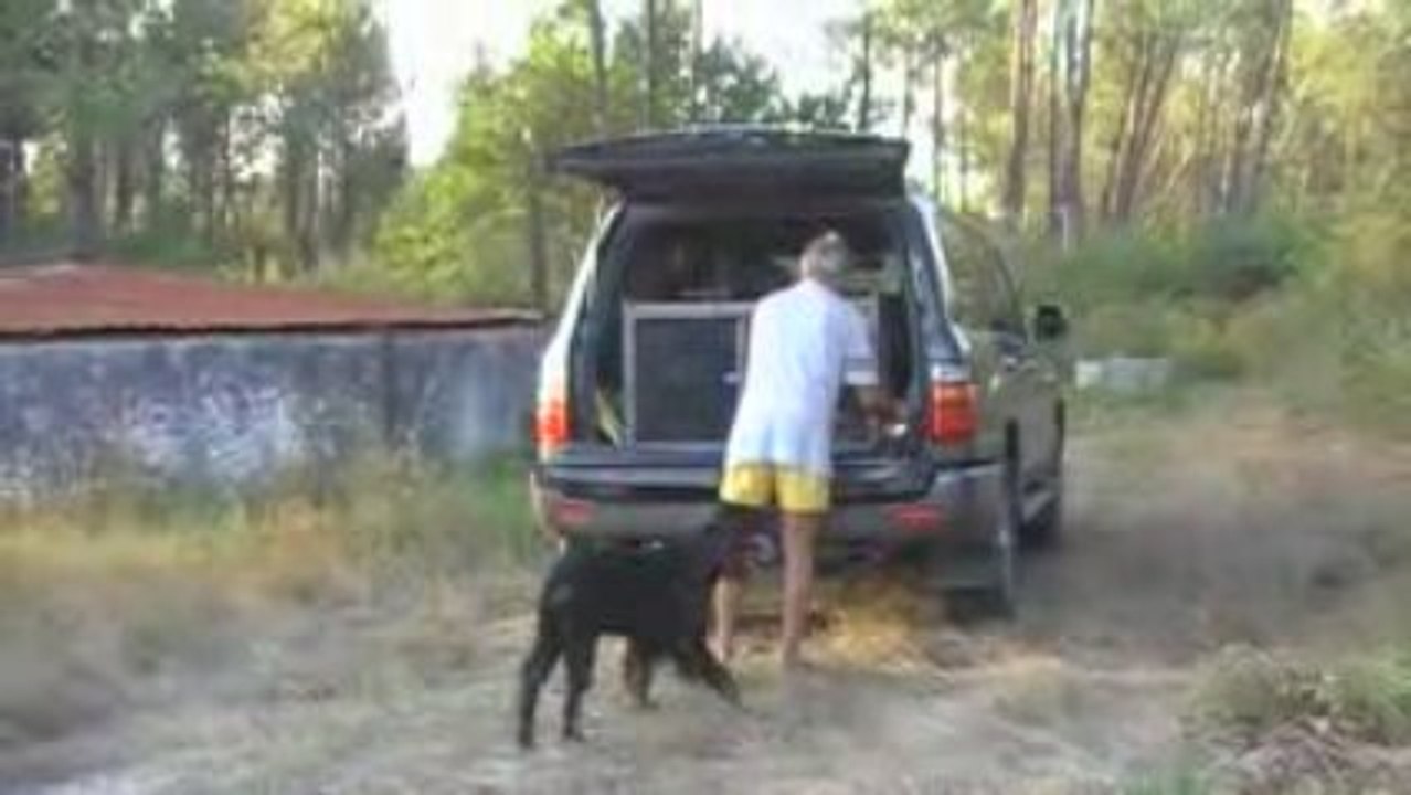 06 09 2009 forêt 3