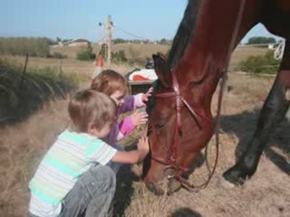 Sully et les enfants
