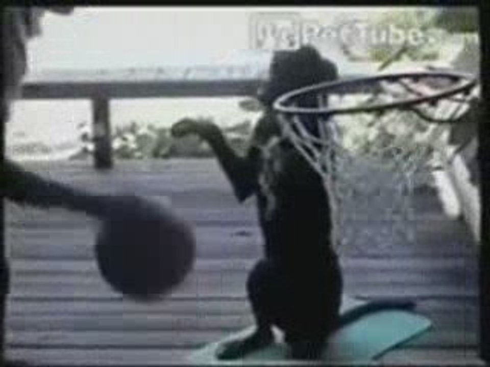 Basket